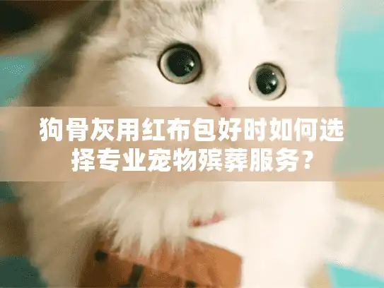 狗骨灰用红布包好时如何选择专业宠物殡葬服务? 狗骨灰用红布包好时如何选择专业宠物殡葬服务?