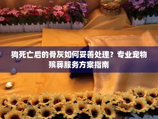 狗死亡后的骨灰如何妥善处理?专业宠物殡葬服务方案指南 狗死亡后的骨灰如何妥善处理?专业宠物殡葬服务方案指南