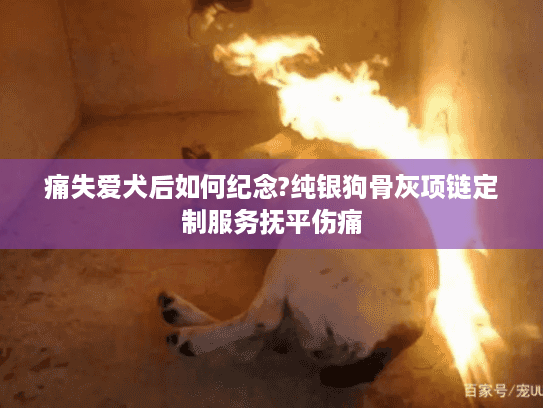 痛失爱犬后如何纪念?纯银狗骨灰项链定制服务抚平伤痛 痛失爱犬后如何纪念?纯银狗骨灰项链定制服务抚平伤痛