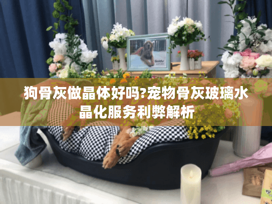 狗骨灰做晶体好吗?宠物骨灰玻璃水晶化服务利弊解析