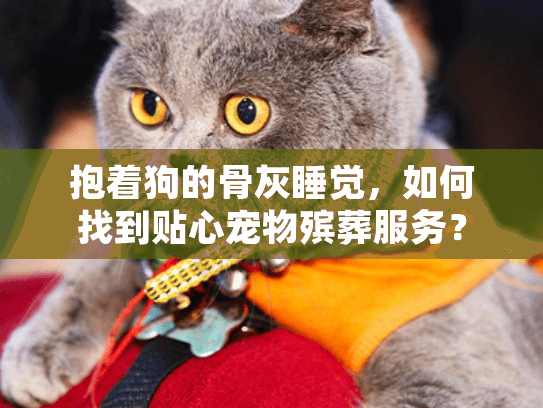 抱着狗的骨灰睡觉,如何找到贴心宠物殡葬服务? 抱着狗的骨灰睡觉,如何找到贴心宠物殡葬服务?