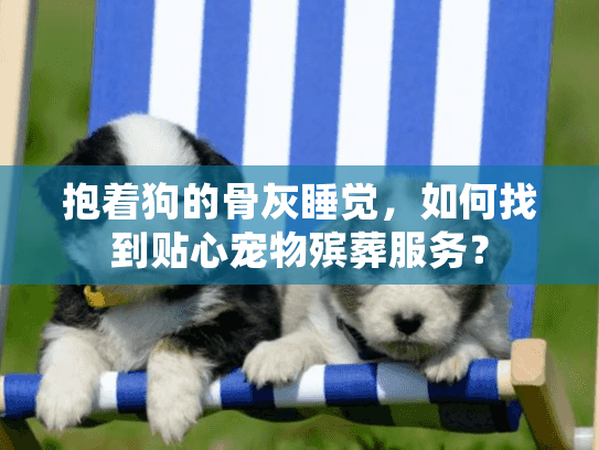 抱着狗的骨灰睡觉,如何找到贴心宠物殡葬服务? 抱着狗的骨灰睡觉,如何找到贴心宠物殡葬服务?