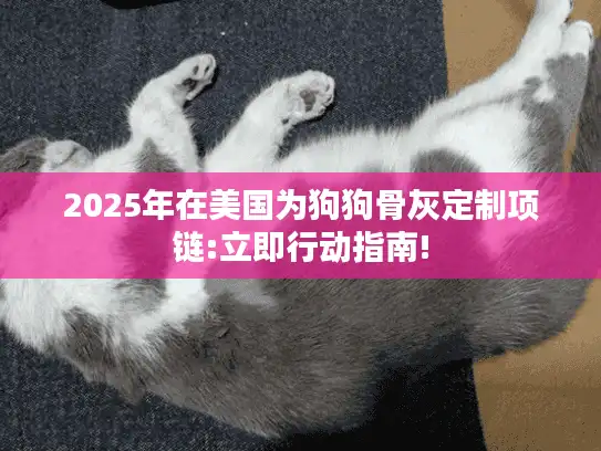 2025年在美国为狗狗骨灰定制项链:立即行动指南! 2025年在美国为狗狗骨灰定制项链:立即行动指南!