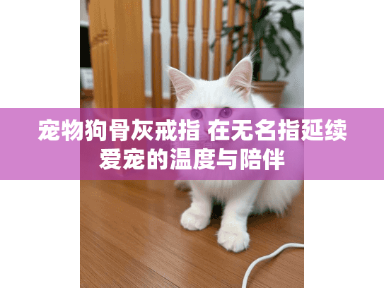 宠物狗骨灰戒指 在无名指延续爱宠的温度与陪伴 宠物狗骨灰戒指 在无名指延续爱宠的温度与陪伴