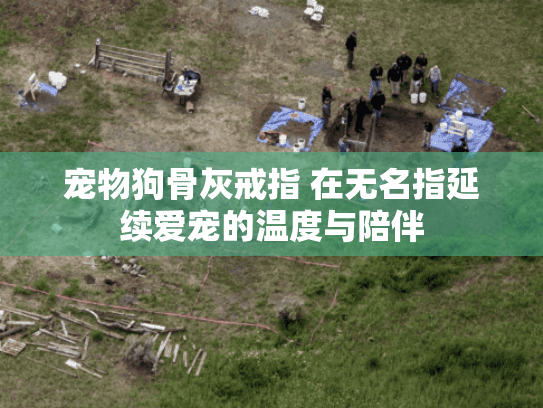 宠物狗骨灰戒指 在无名指延续爱宠的温度与陪伴 宠物狗骨灰戒指 在无名指延续爱宠的温度与陪伴