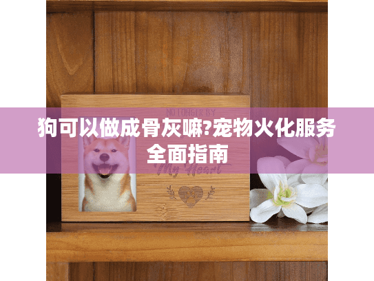 狗可以做成骨灰嘛?宠物火化服务全面指南