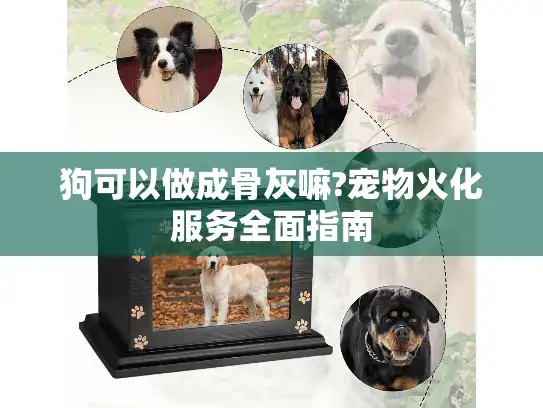 狗可以做成骨灰嘛?宠物火化服务全面指南