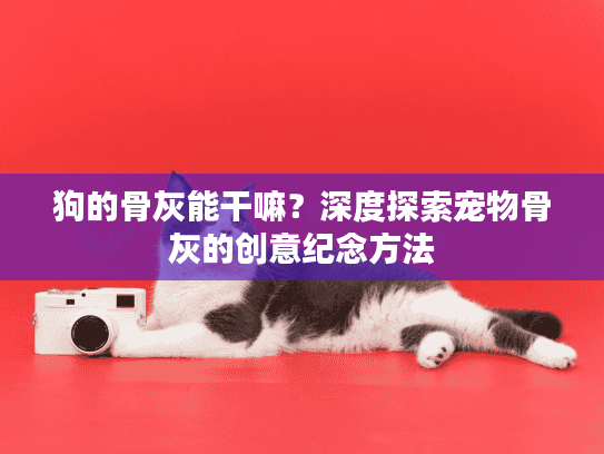 狗的骨灰能干嘛？深度探索宠物骨灰的创意纪念方法