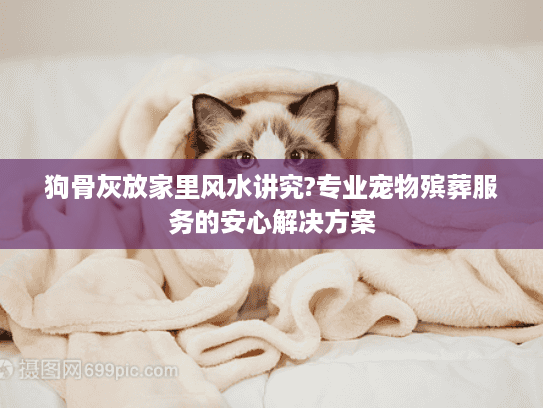 狗骨灰放家里风水讲究?专业宠物殡葬服务的安心解决方案 狗骨灰放家里风水讲究?专业宠物殡葬服务的安心解决方案