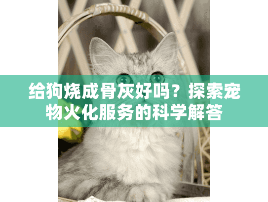 给狗烧成骨灰好吗？探索宠物火化服务的科学解答