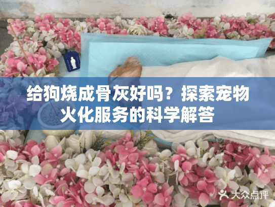 给狗烧成骨灰好吗？探索宠物火化服务的科学解答