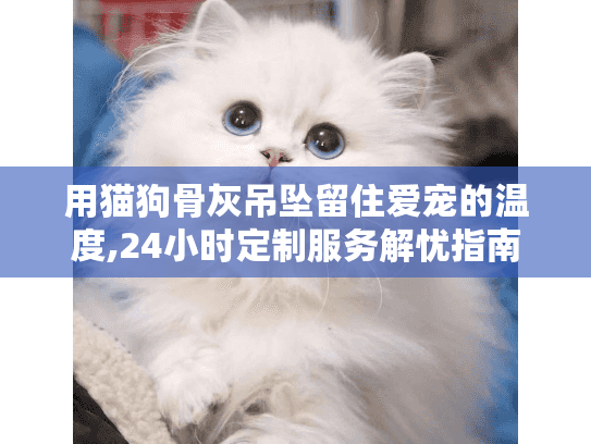 用猫狗骨灰吊坠留住爱宠的温度,24小时定制服务解忧指南