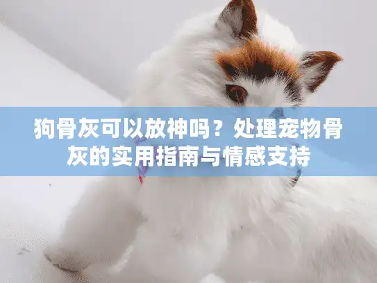 狗骨灰可以放神吗？处理宠物骨灰的实用指南与情感支持