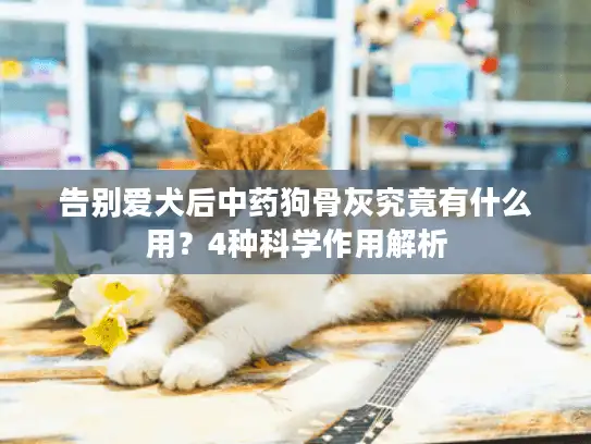告别爱犬后中药狗骨灰究竟有什么用？4种科学作用解析