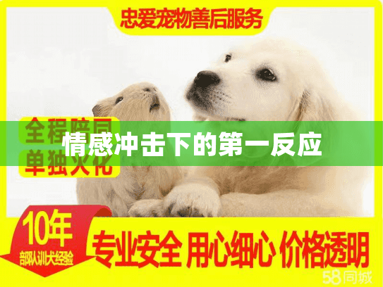 情感冲击下的第一反应 情感冲击下的第一反应