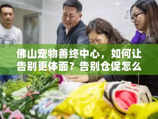 佛山宠物善终中心,如何让告别更体面?告别仓促怎么办? 佛山宠物善终中心,如何让告别更体面?告别仓促怎么办?