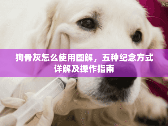 狗骨灰怎么使用图解，五种纪念方式详解及操作指南