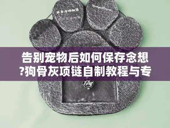 告别宠物后如何保存念想?狗骨灰项链自制教程与专业选择对比