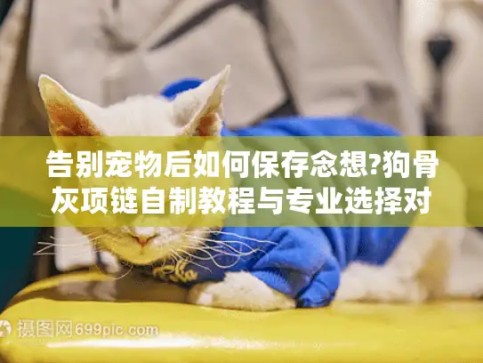 告别宠物后如何保存念想?狗骨灰项链自制教程与专业选择对比