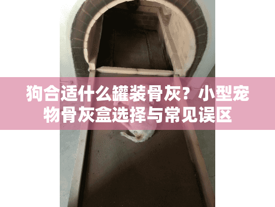 狗合适什么罐装骨灰？小型宠物骨灰盒选择与常见误区