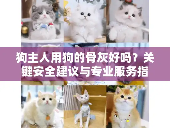 狗主人用狗的骨灰好吗?关键安全建议与专业服务指南 狗主人用狗的骨灰好吗?关键安全建议与专业服务指南