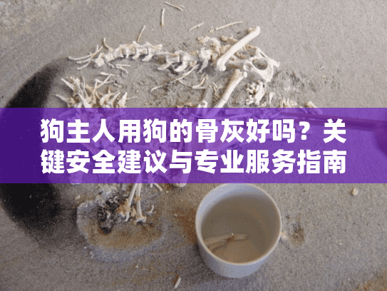 狗主人用狗的骨灰好吗?关键安全建议与专业服务指南 狗主人用狗的骨灰好吗?关键安全建议与专业服务指南