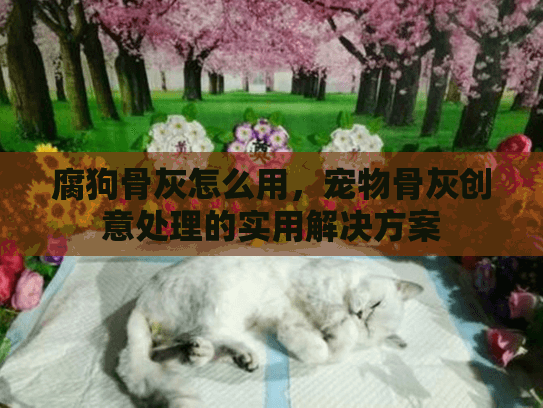 腐狗骨灰怎么用,宠物骨灰创意处理的实用解决方案 腐狗骨灰怎么用,宠物骨灰创意处理的实用解决方案