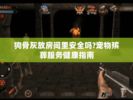 狗骨灰放房间里安全吗?宠物殡葬服务健康指南