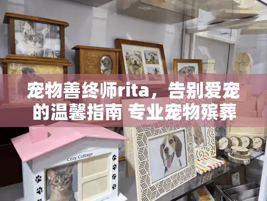 宠物善终师rita，告别爱宠的温馨指南 专业宠物殡葬服务首选