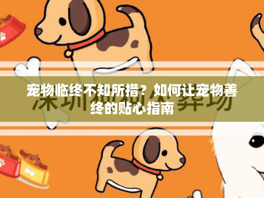 宠物临终不知所措？如何让宠物善终的贴心指南