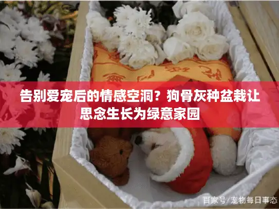 告别爱宠后的情感空洞?狗骨灰种盆栽让思念生长为绿意家园 告别爱宠后的情感空洞?狗骨灰种盆栽让思念生长为绿意家园