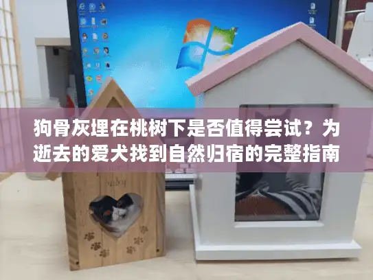 狗骨灰埋在桃树下是否值得尝试？为逝去的爱犬找到自然归宿的完整指南