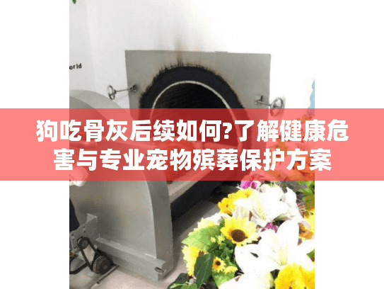 狗吃骨灰后续如何?了解健康危害与专业宠物殡葬保护方案