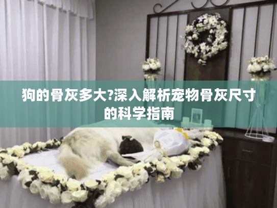 狗的骨灰多大?深入解析宠物骨灰尺寸的科学指南 狗的骨灰多大?深入解析宠物骨灰尺寸的科学指南