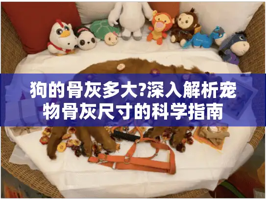 狗的骨灰多大?深入解析宠物骨灰尺寸的科学指南 狗的骨灰多大?深入解析宠物骨灰尺寸的科学指南