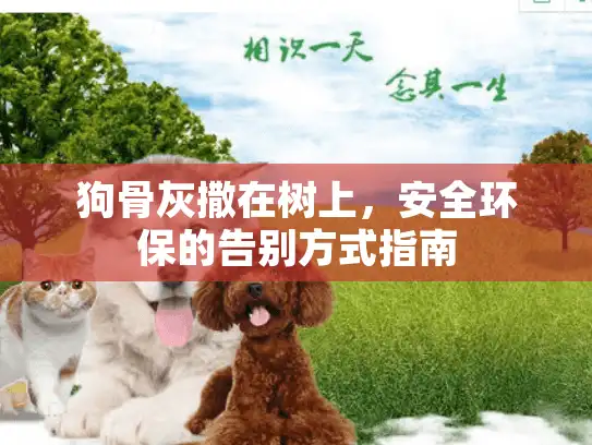 狗骨灰撒在树上，安全环保的告别方式指南
