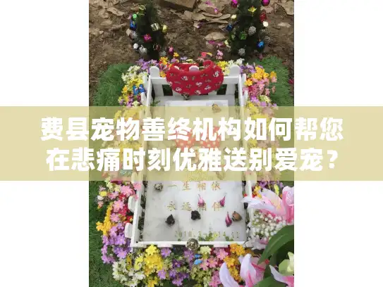 费县宠物善终机构如何帮您在悲痛时刻优雅送别爱宠？