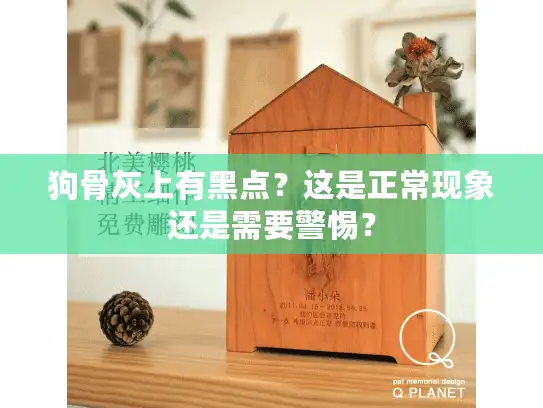狗骨灰上有黑点？这是正常现象还是需要警惕？