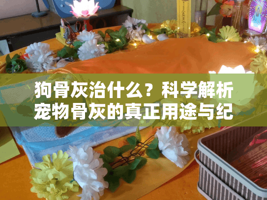 狗骨灰治什么?科学解析宠物骨灰的真正用途与纪念价值 狗骨灰治什么?科学解析宠物骨灰的真正用途与纪念价值