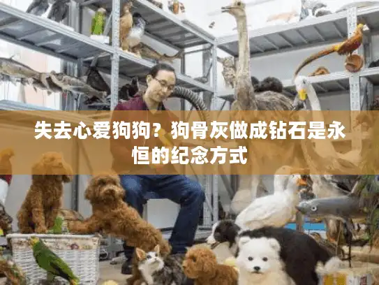 失去心爱狗狗？狗骨灰做成钻石是永恒的纪念方式