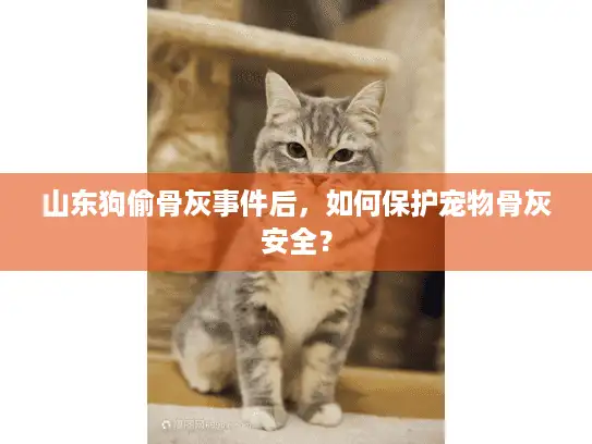 山东狗偷骨灰事件后,如何保护宠物骨灰安全? 山东狗偷骨灰事件后,如何保护宠物骨灰安全?