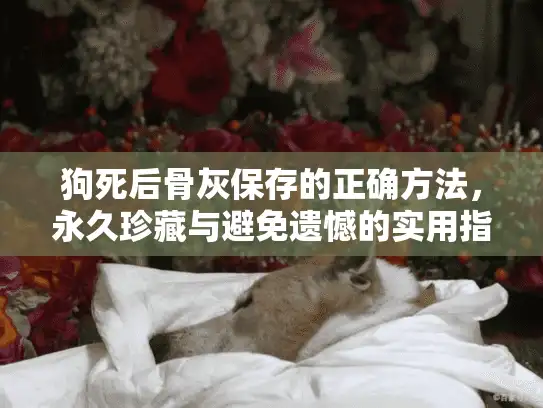 狗死后骨灰保存的正确方法，永久珍藏与避免遗憾的实用指南