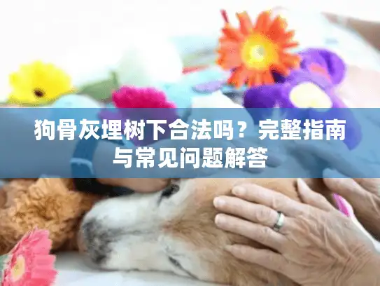 狗骨灰埋树下合法吗？完整指南与常见问题解答