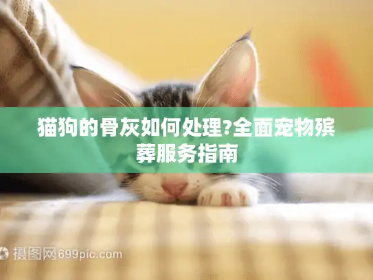 猫狗的骨灰如何处理?全面宠物殡葬服务指南 猫狗的骨灰如何处理?全面宠物殡葬服务指南