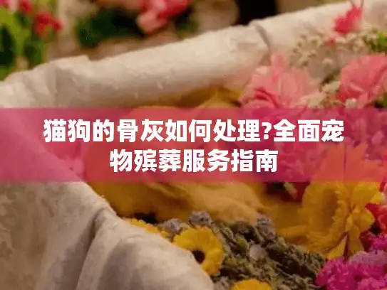 猫狗的骨灰如何处理?全面宠物殡葬服务指南 猫狗的骨灰如何处理?全面宠物殡葬服务指南
