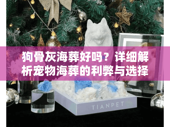 狗骨灰海葬好吗？详细解析宠物海葬的利弊与选择方案