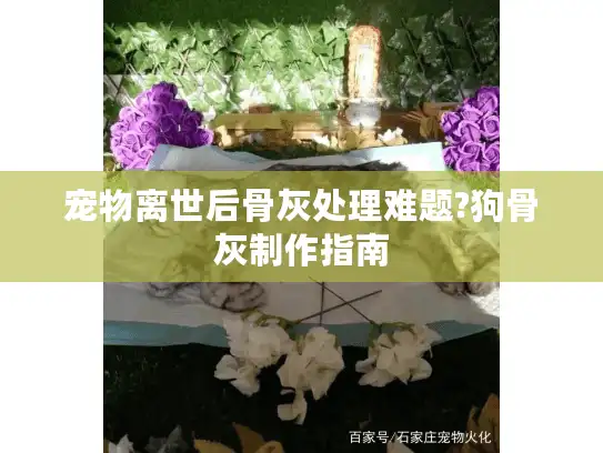宠物离世后骨灰处理难题?狗骨灰制作指南 宠物离世后骨灰处理难题?狗骨灰制作指南