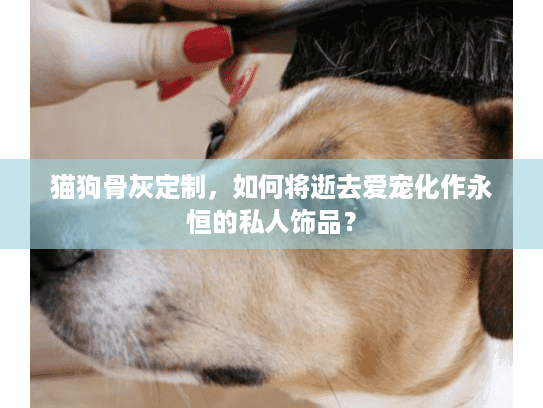 猫狗骨灰定制，如何将逝去爱宠化作永恒的私人饰品？