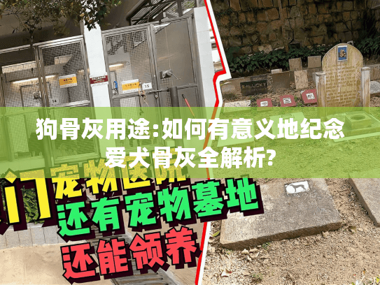 狗骨灰用途:如何有意义地纪念爱犬骨灰全解析? 狗骨灰用途:如何有意义地纪念爱犬骨灰全解析?
