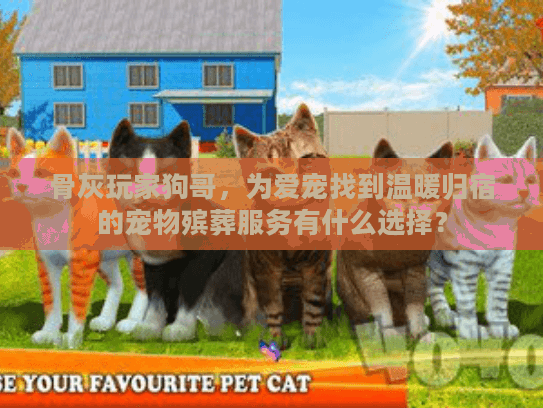 骨灰玩家狗哥，为爱宠找到温暖归宿的宠物殡葬服务有什么选择？